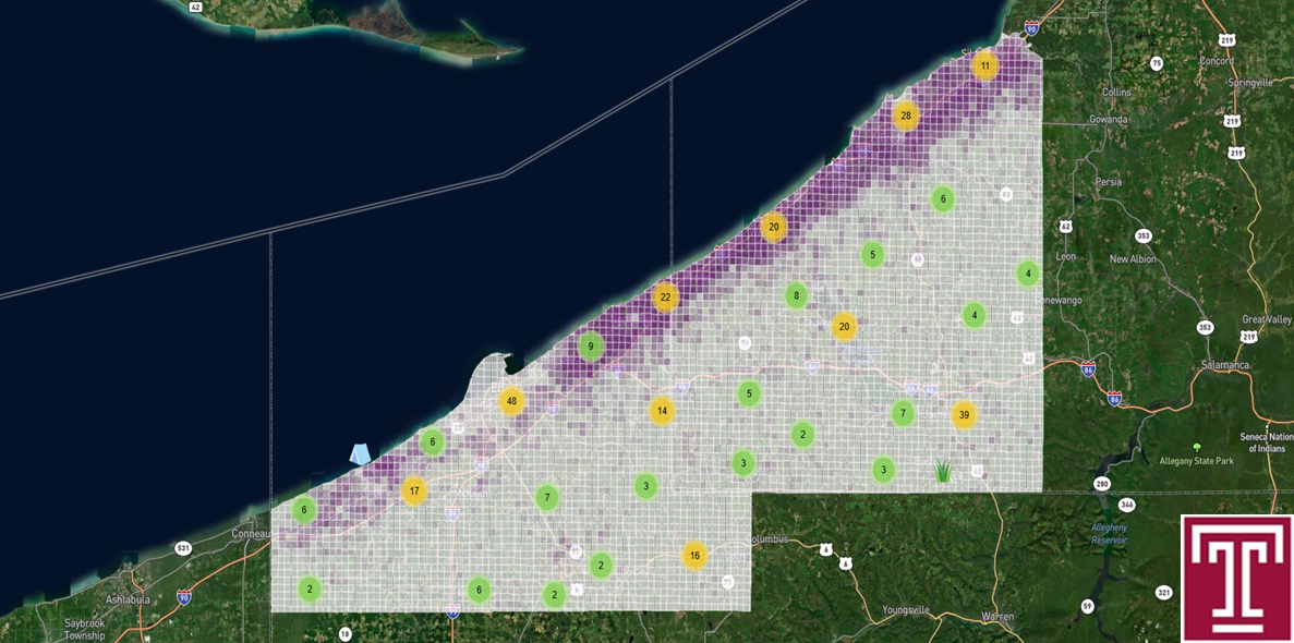 Lake Erie Grape Belt